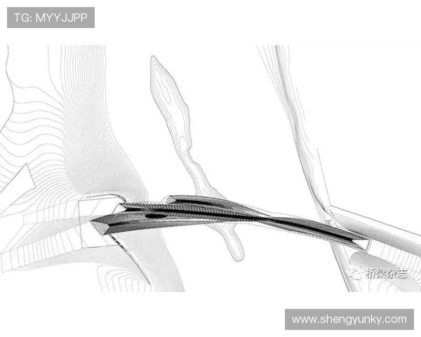 萨拉戈萨未来规划 萨拉戈萨未来规划