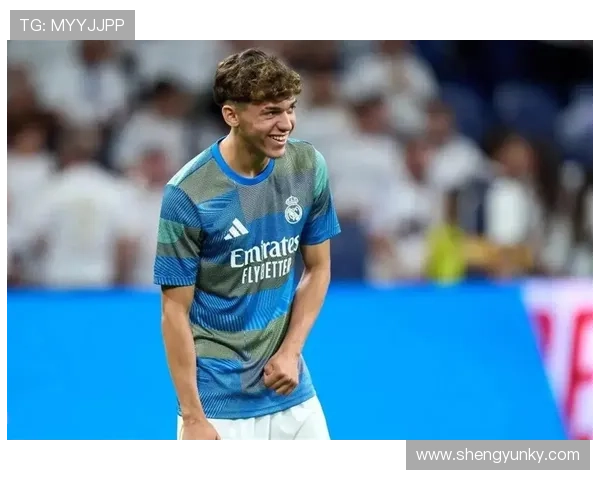 厄德高皇马时期表现挣扎的战术与体系适配问题 厄德高皇马时期表现挣扎的战术与体系适配问题