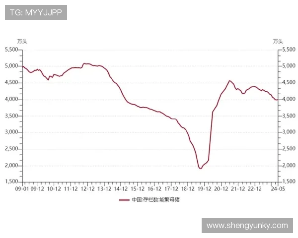 洛伦特速度优势与近期表现分析